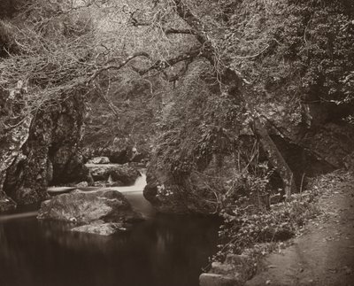 Het Dargle-gat, ca. 1865 door Thomas Marcus Brownrigg