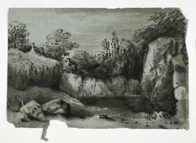 Rocky Pool door Thomas Monro