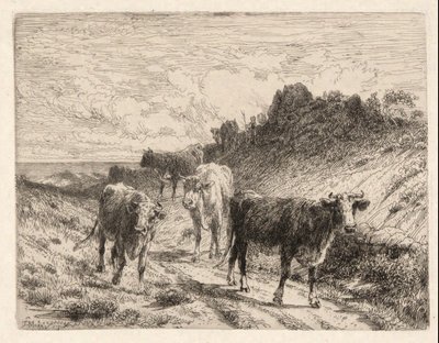 Koeien door Thomas Moran