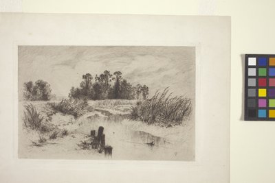 Moerassig landschap met stroom door Thomas Moran