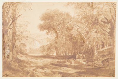 Op de Boven Delaware (naar een houtskooltekening) door Thomas Moran