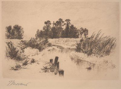 Passaic Meadows (In de Newark Meadows) door Thomas Moran