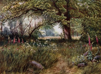 Kew Gardens: In de Tuinen van het Koningin