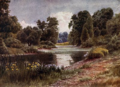 Kew Gardens: Het Meer, Kijkend naar het Zuiden door Thomas Mower Martin