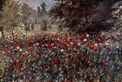 Kew Gardens: De Papaverbedden (kleur litho) door Thomas Mower Martin