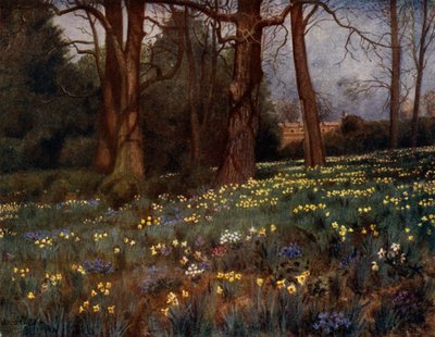 Kew Gardens: De wilde tuin in de lente door Thomas Mower Martin