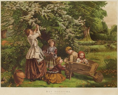 Meibloesems door Thomas P. Hall