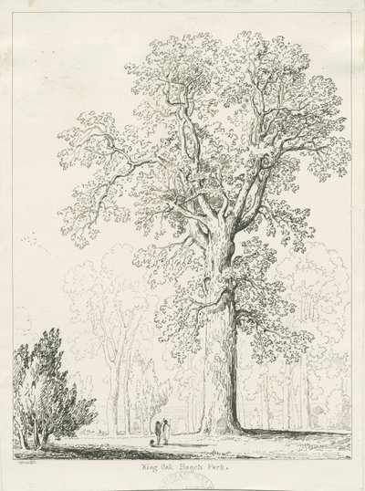 Blithfield - Koning Eik door Thomas Peploe Wood