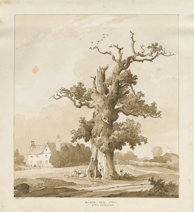 Eccleshall - Baden Old Hall door Thomas Peploe Wood