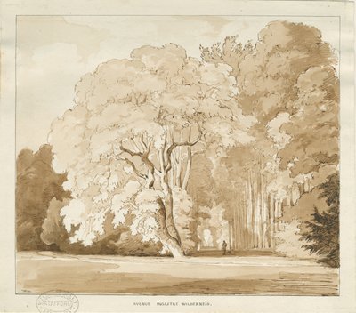 Ingestre - een studie van bomen door Thomas Peploe Wood