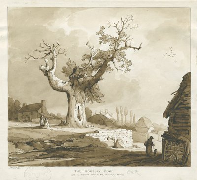 Norbury Dorp - 