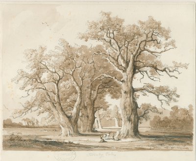Teddesley Hall - Eikenbomen door Thomas Peploe Wood