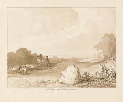 Trysull - Oorlogssteen bij Seisdon Common door Thomas Peploe Wood