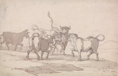 Een groep van vijf stieren die op het punt staan te vechten door Thomas Rowlandson