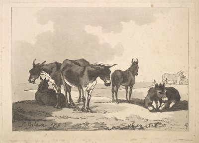 Een groep van vijf ezels, drie staand, twee liggend door Thomas Rowlandson