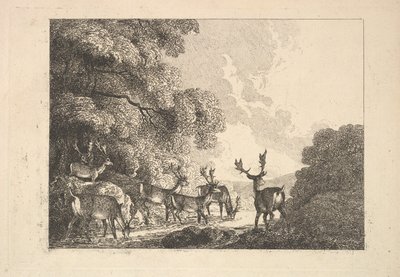 Een groep herten die drinken door Thomas Rowlandson