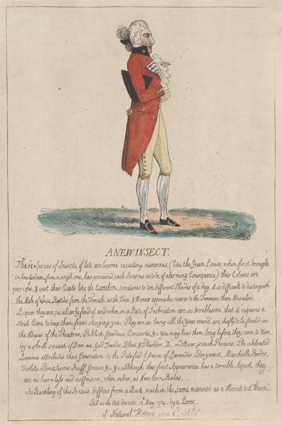 Een nieuw insect door Thomas Rowlandson
