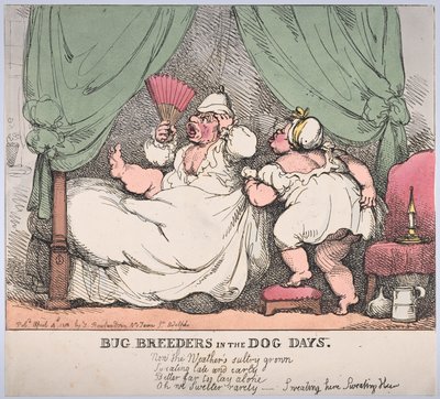 Insectenkwekers in de hondsdagen door Thomas Rowlandson