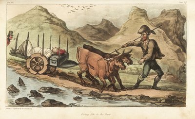 Vaandrig Johnny Newcome, ziek van dysenterie, per ossenkarren naar Salamanca, Spanje gebracht. Handgekleurde kopergravure getekend en geëtst door Thomas Rowlandson uit Colonel David Roberts