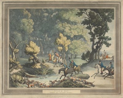  door Thomas Rowlandson