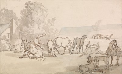 Merries en veulens in een weiland door Thomas Rowlandson