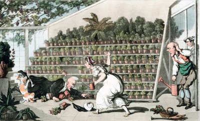 Ongeluk in de Tulpenhal, ca. 1816 door Thomas Rowlandson