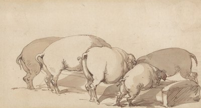 Varkens bij een voederbak door Thomas Rowlandson