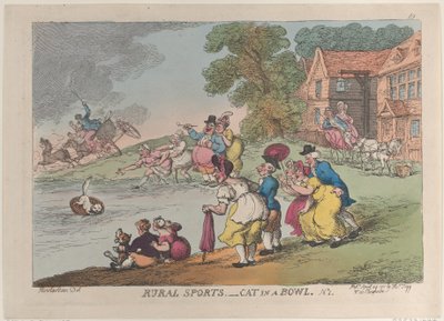 Plattelandsporten: kat in een kom, 24 april 1811 door Thomas Rowlandson