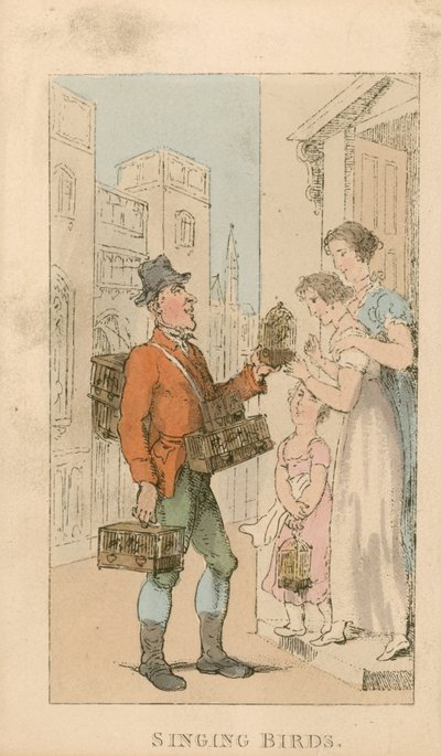 Zangvogels door Thomas Rowlandson