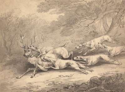 Hert neergeschoten door een roedel honden door Thomas Rowlandson