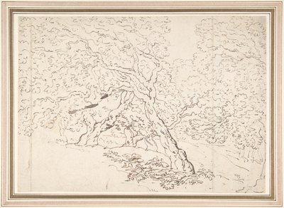 Onderzoek naar bomen door Thomas Rowlandson