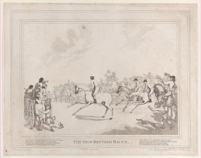 Het renpaard uit Het leven van een renpaard, of De hoogmoedige racer door Thomas Rowlandson