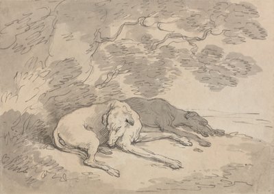 Twee windhonden die onder een boom liggen door Thomas Rowlandson