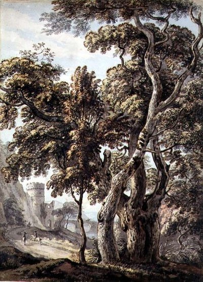 Studie van bomen door Thomas Sandby