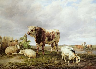 Vee in de weide door Thomas Sidney Cooper