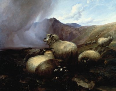 Hooglandschapen in een Bergachtig Landschap, 1854 door Thomas Sidney Cooper
