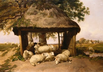 Schapen rustend onder een schuilplaats door Thomas Sidney Cooper