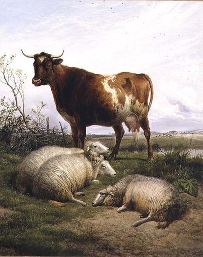Schapen en een Koe aan het Grazen door Thomas Sidney Cooper