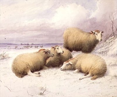 Schapen in de Sneeuw door Thomas Sidney Cooper