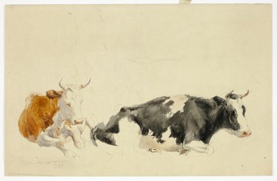 Twee liggende koeien (recto); schets van staande koe (verso) door Thomas Sidney Cooper
