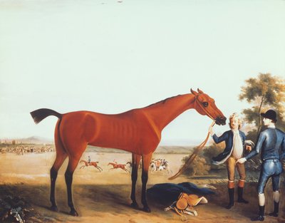 Het Renpaard 