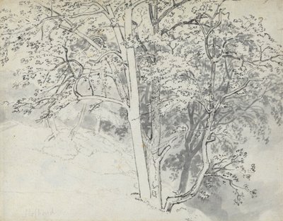 Studie van bomen door Thomas Stothard
