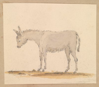 Studie van een ezel, c.1820 door Thomas Streatfeild