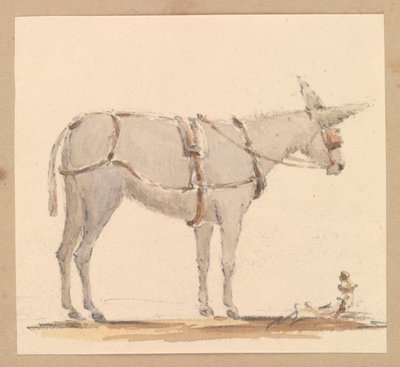 Studie van een ezel met hoofdstel en tuig, ca.1820 door Thomas Streatfeild