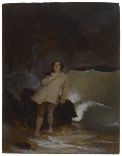 Het Schipbreuk van Robinson Crusoe door Thomas Sully