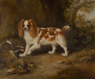 Een spaniël met een dode haas, c.1822-74 door Thomas W. Bretland