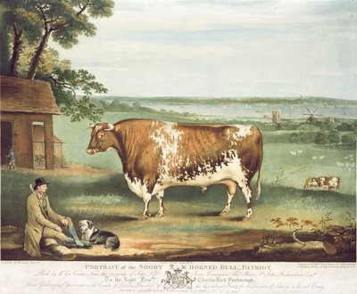 Een Korthoornige Stier, Patriot, gegraveerd door William Ward, Shrewsbury, 1810 door Thomas Weaver