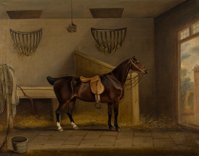 Een gezadelde Bay Hunter in een stal door Thomas Weaver