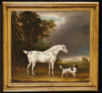 Appaloosa Paard en spaniël, 1807 door Thomas Weaver