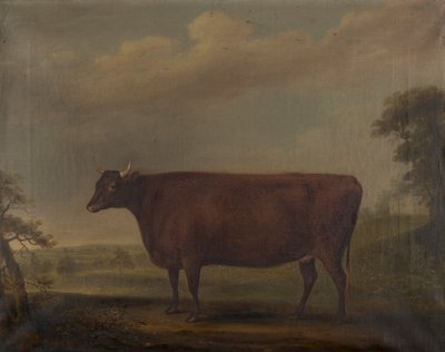 Rode Devon vaarsen in landschap door Thomas Weaver